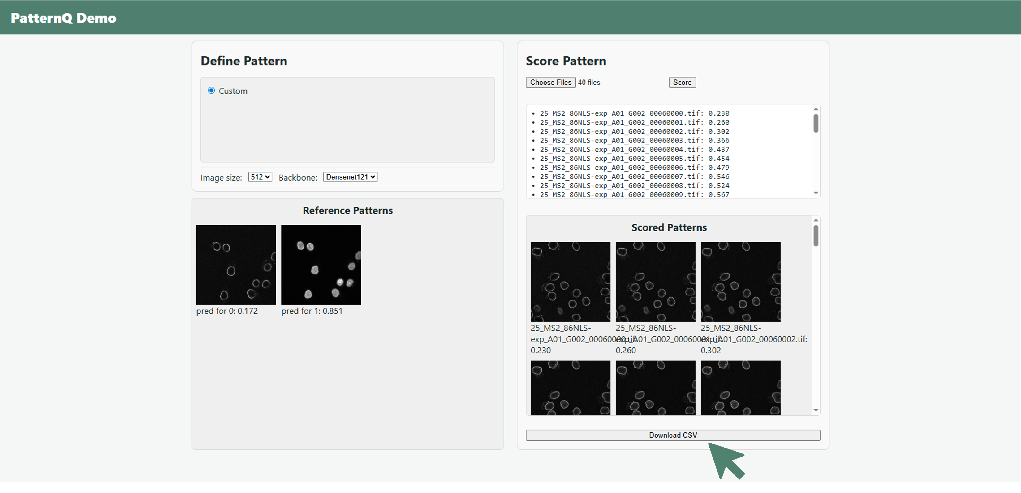 See thumbnails and download CSV